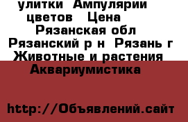 улитки  Ампулярии  6 цветов › Цена ­ 10 - Рязанская обл., Рязанский р-н, Рязань г. Животные и растения » Аквариумистика   